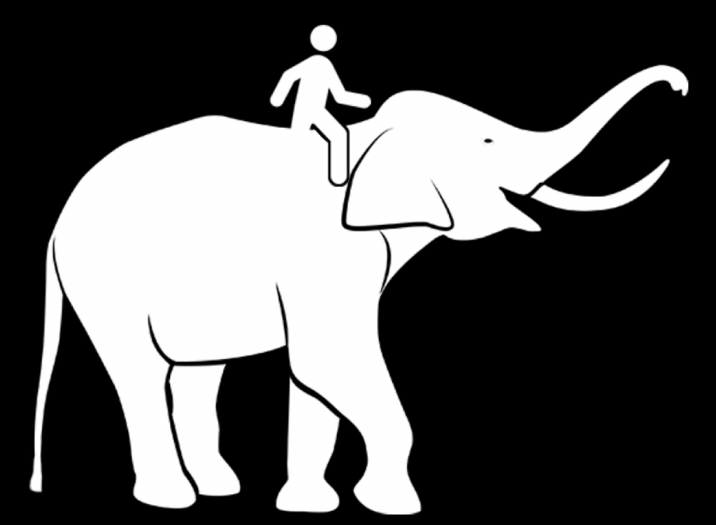 elephant and rider